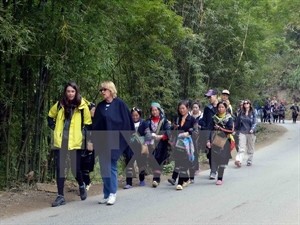 Vietnam is a favourite destination for holidaymakers from all over the world. (Photo: VNA)